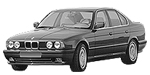 BMW E34 P2AF6 Fault Code